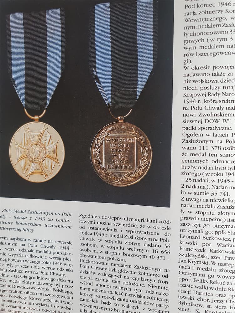 Przykładowe zdjęcie z rozdziału - Medal Zasłużonym na Polu Chwały