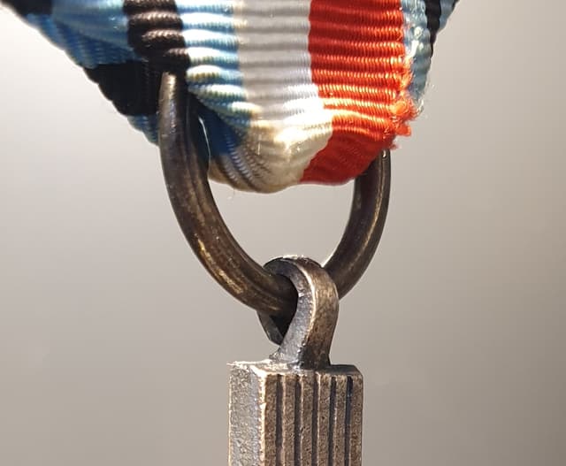 Różne widoki uszka